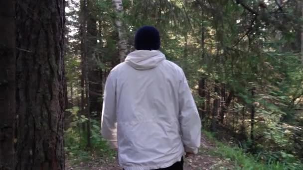 Young man on camping trip. Footage. Concept of freedom and nature. View of man from back walking in woods along path on sunny autumn day — Stock Video