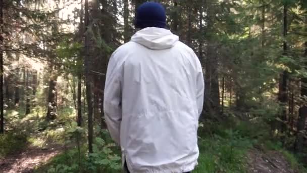 Junger Mann auf Zeltreise. Konzept von Freiheit und Natur. Blick auf den Menschen von hinten zu Fuß im Wald entlang des Weges an einem sonnigen Herbsttag — Stockvideo
