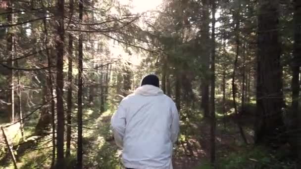 El hombre corre cuesta abajo en el bosque de otoño. Filmación. Vista del hombre desde atrás haciendo deportes en el bosque en un día soleado — Vídeo de stock