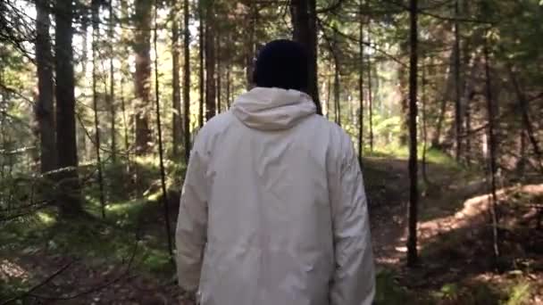 숲을 통해 경로 따라 산책 하는 남자. 영상입니다. 남자 혼자의 후면 볼 수 있습니다. 자연에 레저의 개념 — 비디오