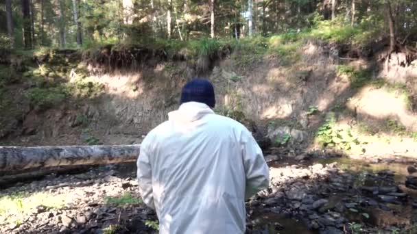 Um homem caminha na floresta, na trilha ao lado da ravina. Filmagem. Vista do homem de volta na ravina com pequeno rio — Vídeo de Stock