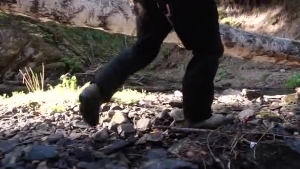 Vue rapprochée de mans jambes debout sur le sol dans la forêt et entouré de végétation et d'herbe. Des images. Concept d'activités de plein air. Gros plan de mans pieds sur la nature 