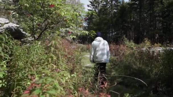 Homem solitário jovem que anda profundamente na floresta entre vegetação densa e arbustos. Filmagem. Vista do homem de volta andando na trilha da floresta. Conceito de atividades ao ar livre sozinho — Vídeo de Stock