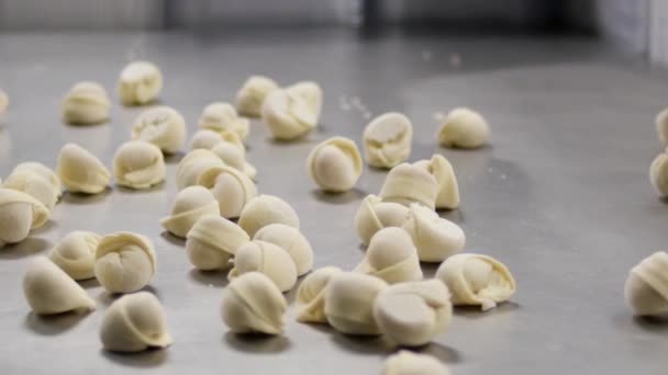 Kokt dumplings flygande mot tabellen från metall pan i slow motion, Matlagning tema. Att göra Dumplings av händer — Stockvideo