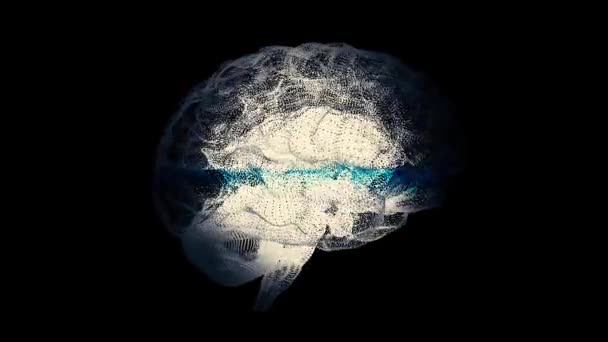 3D render xray stil bild av mänskliga hjärnan roterande. Mänskliga hjärnan bildas av roterande partiklar. Hjärnan ansluta digitala linjer, utöka artificiell intelligens. X-ray flare hjärnan, biologi — Stockvideo