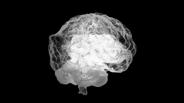 Людський білий мозок на чорному фоні наукової анатомії. Людський мозок як голограма. Плексій. Білий обертається людський мозок на чорному тлі. Медицина та наука. Анімація циклу — стокове відео