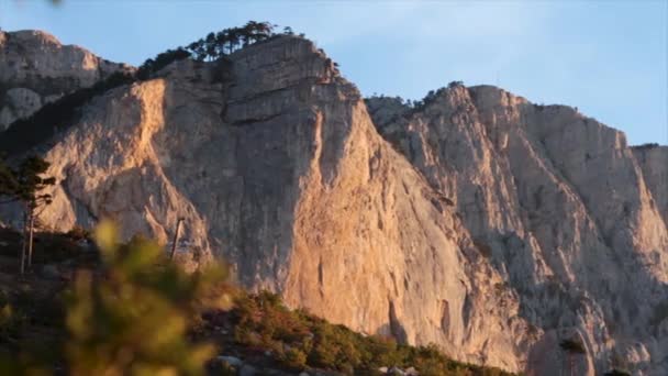 夏のフェンネルと朝の太陽の光線で密な針葉樹林の山の頂。ショット。岩の上に松の太陽反射をパノラマ ビュー。山の上に表示します。 — ストック動画