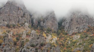 Rocky Dağları sis, arka plan, Endonezya orman. Vurdu. Bromos dağın, Endonezya, bulutlu gökyüzü ile dağ. Manzara arka plan.