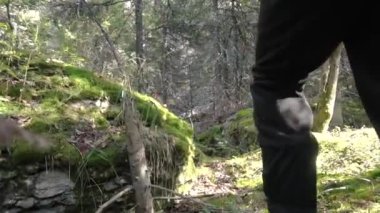 Açık havada kayalık arazide çalışan sporcular. Görüntüleri. Mens bacak yeşillikleri ile yakın çekim. İnsan ve doğa kavramı