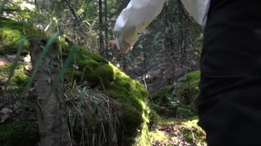 Açık havada kayalık arazide çalışan sporcular. Görüntüleri. Mens bacak yeşillikleri ile yakın çekim. İnsan ve doğa kavramı