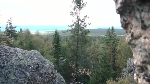 Rellenar entre rocas en el fondo del bosque. Filmación. Vista del paisaje arbolado entre rocas. Concepto de naturaleza salvaje — Vídeos de Stock
