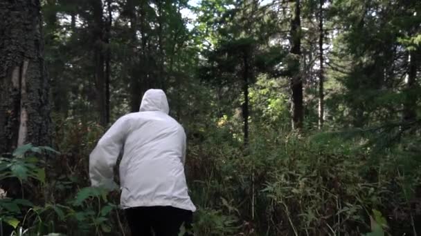 男子拿着砍刀在森林的不可逾越的地区运动。镜头。在野外的一次旅行。人的概念是在困难和障碍中前进的 — 图库视频影像