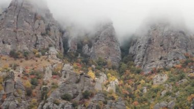 Çin dağlarında manzara. Vurdu. Rocky Dağları sis, orman arka plan, Çin
