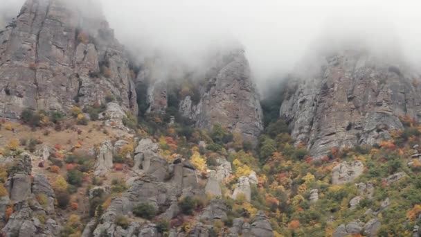 Berglandschaft aus China. Schuss. felsige Berge mit Nebel, Waldhintergrund, China — Stockvideo