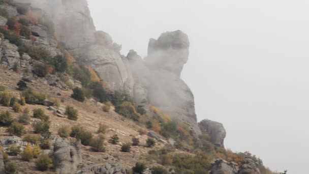 Montañas Azules paisaje, Australia. Montañas Rocosas con niebla, fondo forestal, Australia. Las Tres Hermanas en las Montañas Azules en Australia . — Vídeos de Stock