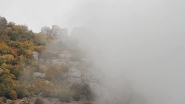 Fantastiskt landskap av bergskog i, moln eller dimma. Skott. Ryssland. Dimmiga hösten berget tempererat skog med träd som växer på klipporna. Dimma i en bergsdal, utsikt från berget — Stockvideo