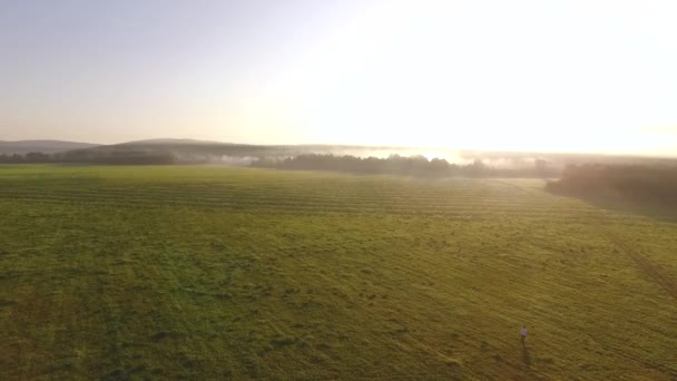 Вид сверху зеленого метеорита на холмистой равнине в сельской местности на фоне утреннего тумана и голубого неба. Запись. Живописный вид утренней природы — стоковое видео