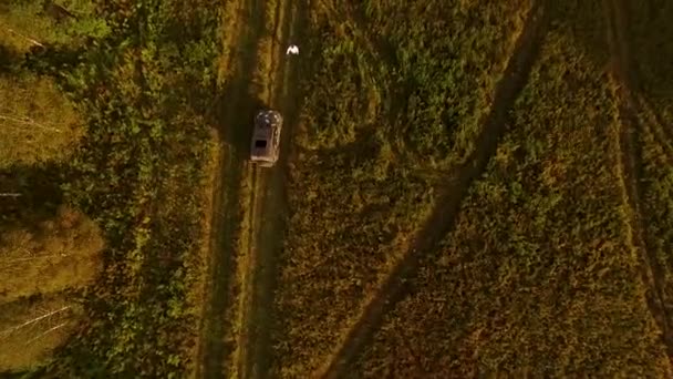 Tramperin erfasste Auto in Feld auf Landstraße Filmmaterial. Blick von oben auf das Auto, in dem sitzen Tramper in der Landschaft. Konzept Trampen — Stockvideo