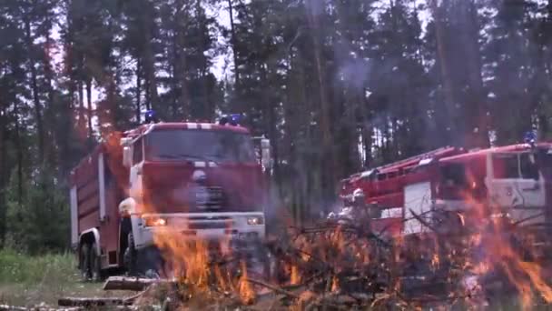 A tűzoltóautók tűz által. Ignite fa tű veszélyes erdőbe. Jelenet. Nem biztonságos pihenés a természet, a tűz. Gyors reagálás az erdőben tüzet a tűzoltók — Stock videók