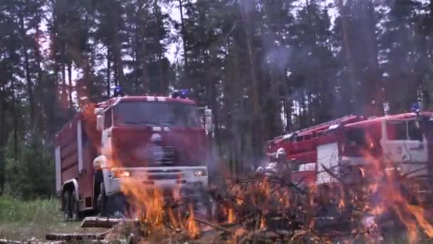 Camiones de bomberos por fuego. Encienda agujas de árboles peligrosas para el bosque. Escena. Descanso activo inseguro en la naturaleza con fuego. Respuesta rápida de los bomberos al fuego en el bosque — Vídeos de Stock