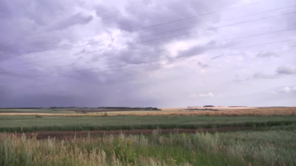 巨大なフィールドの風景は灰色の空の下での乾燥の緑の草で覆われています。シーン。雨の前に農村フィールドの曇り空 — ストック動画