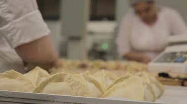 Fabrika köfte imalatı için. Sahne. Mantı üretimi. Yem Sanayi