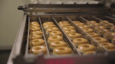 Bir küçük kasaba donut ekmek - bir fritöz kızartma donut çörekler yapma prosedürü. Sahne. Çörekler hazırlanması süreci