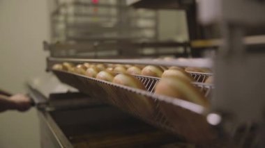 Hamur pasta, çörek, çörek yapmak yağda kızartma. Sahne. Profesyonel mutfak. Donuts sanayi üretim