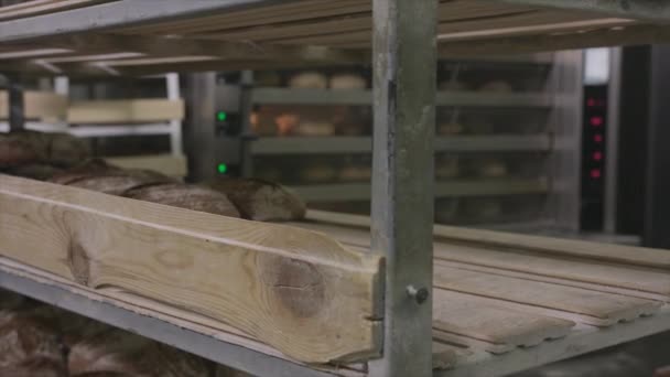 Close-up of freshly baked bread at bakery. Scene. New baked batch of bread put on shelf. Fresh baking concept — Stock Video