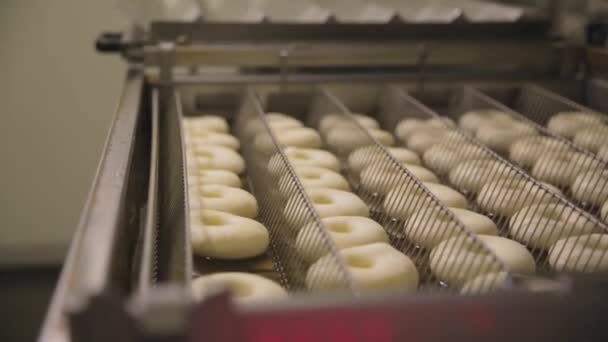 Procedure of making donuts in a small town donut bakery - donuts frying in a deep fryer. Scene. Process of preparation of donuts — Stock Video