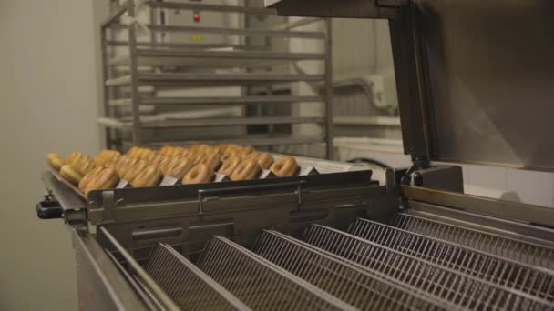 ドーナツの生産。シーン。ベーカリー パン業界、菓子工場、クッキーとベーグルやドーナツはパン屋さんのデザート工場でたくさんやってください。 — ストック動画