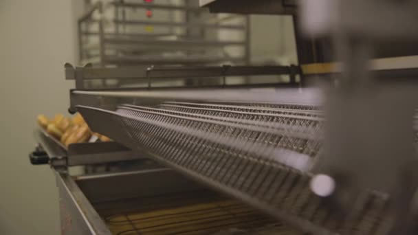 Βιομηχανική παραγωγή ντόνατς. Σκηνή. Η βιομηχανία ψωμί αρτοποιίας, εργοστάσιο καραμέλα, cookies και bagels ή ντόνατς κάνει πολλά στο γλυκό εργοστάσιο αρτοποιίας — Αρχείο Βίντεο