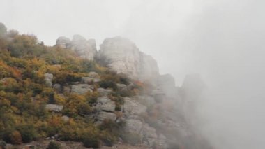 Ormandaki Rocky Dağları. Vurdu. Kaya ve ağaç arka plan beyaz bulutlar ile mavi gökyüzünde. Geniş bohem Paradise adlı vurdu