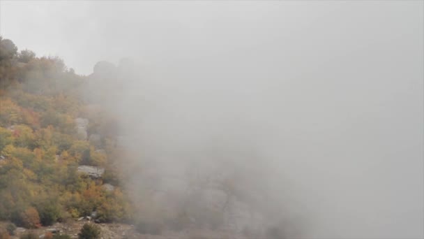 Paesaggio delle Blue Mountains, Australia. Montagne rocciose con nebbia, sfondo forestale, Australia. Le tre sorelle in Blue Mountains in Australia . — Video Stock