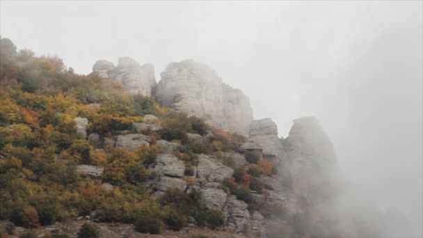 山林雲、霧や霧の中の幻想的な風景。ショット。ロシア。霧秋山温帯林と岩に生育する樹木。山の谷の霧、山からの眺め — ストック動画