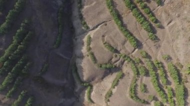 Hava manzara mavi gökyüzü arka plan ile dağlarda tarım alanlarının. Atış