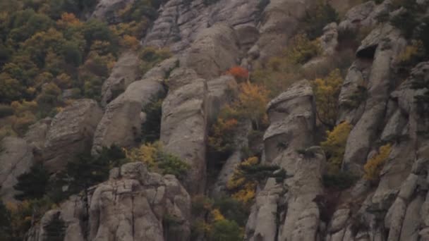 Steen textuur close-up achtergrond. Schot. Prachtige berglandschap en op de achtergrond van de rotsen. Steen op de berg — Stockvideo