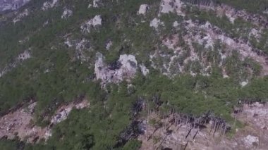 Sonbahar Orman havadan görünümü. Vurdu. İğne yapraklı orman ağacı arka plan sisli vahşi ormanda seyahat kavramı manzara. Herdem yeşil dağ orman ek yükü havadan görünümü
