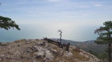 Dağ tepe - güzel manzara orman, deniz ve mavi gökyüzü arka plan ile hava manzara. Vurdu. Dağ deniz sahil şehri panoramik manzarası. Dağ deniz şehir üstten görünüm. Dağ deniz kıyı