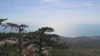Kıyı Yalta şehir, dağdan görüntüleyin. Vurdu. Kırım'da. Yalta ve dağ Karadeniz sahilinden görüntüleyin