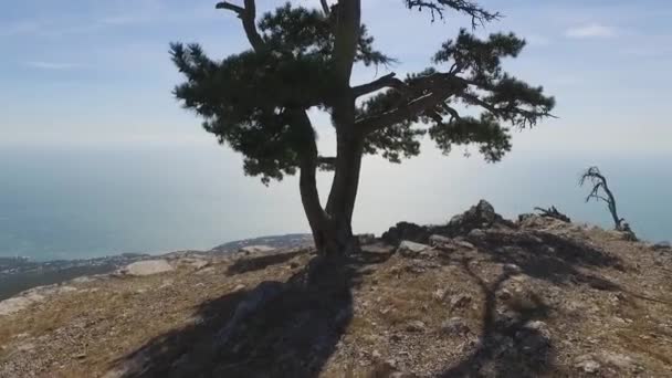 Η ακτογραμμή της πόλης Γιάλτα, θέα από το βουνό. Βολή. Η Κριμαία. Δείτε στην Γιάλτα και ακτές της Μαύρης Θάλασσας από το βουνό — Αρχείο Βίντεο