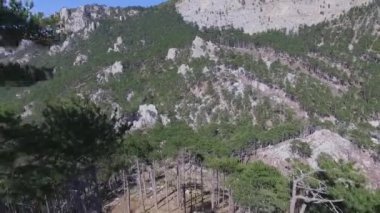Havadan görünümü yeşil orman arka plan, Rusya. Vurdu. Kayalık uçurum ve dağ, karışık orman oldes dağlarda dünyanın Ural, Rusya Federasyonu