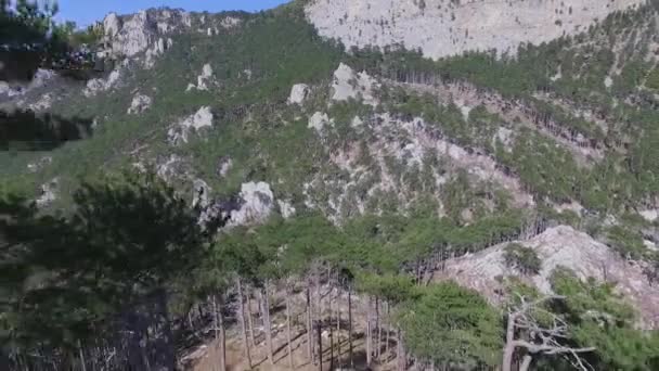 Vue aérienne arrière-plan de forêt verte, Russie. Fusillade. falaise rocheuse et forêt mixte sur la montagne, les montagnes oldes dans le monde, Oural, Russie — Video