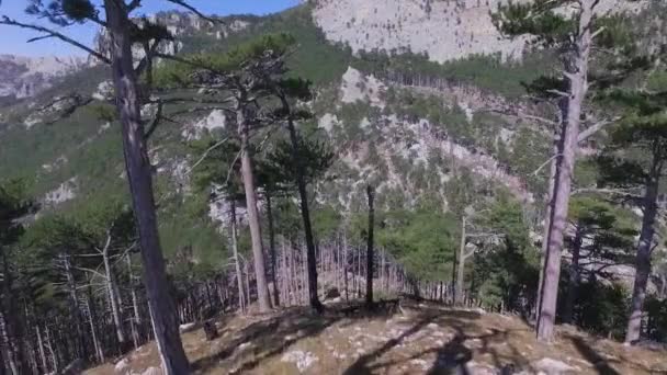 空撮緑の森のバック グラウンド、ロシア。ショット。岩の崖と混交林、山の世界では、ロシアのウラル山中最古 — ストック動画