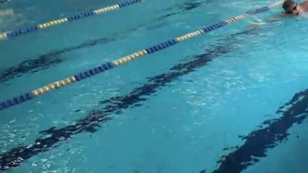 Nuotatore dinamico e in forma in berretto nuotare in piscina. Nuotatore professionista di sesso maschile che pratica in piscina — Video Stock