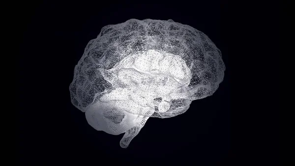 Abstraction of human brain structure on black background. Futuristic scientific and technical brain connections in roentgen. Interlacement of connections in brain in rotating motion. Concept of