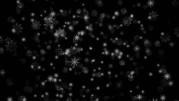 Isolated snow falling on black background. Abstract animation of snowflakes. Winter background with beautiful patterned falling snowflakes close up — Stock Video