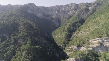 Dağın tepesine yeşil yamaçları üstten görünüm Ladin ve ağaçları ile kaplı. Vurdu. Yeşil geçit açık gün yeşil orman ve dağ manzarası