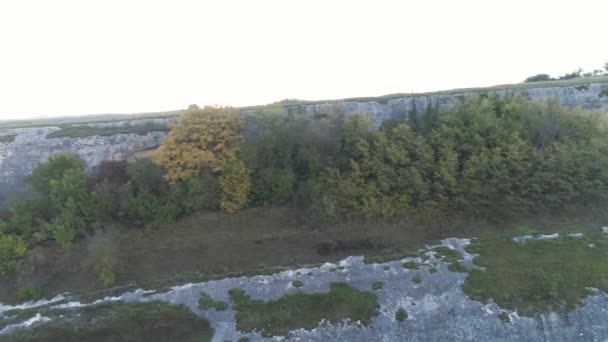 Vista superior do jardim com árvores no desfiladeiro. Atingido. Vista da plantação verde de árvores em desfiladeiro estreito entre rochas. Agricultura nas terras altas — Vídeo de Stock