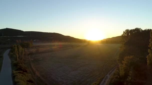 Vista panorámica del campo con plántulas. Le dispararon. Vista superior de la plantación en neblina sobre el paisaje montañoso al atardecer — Vídeos de Stock